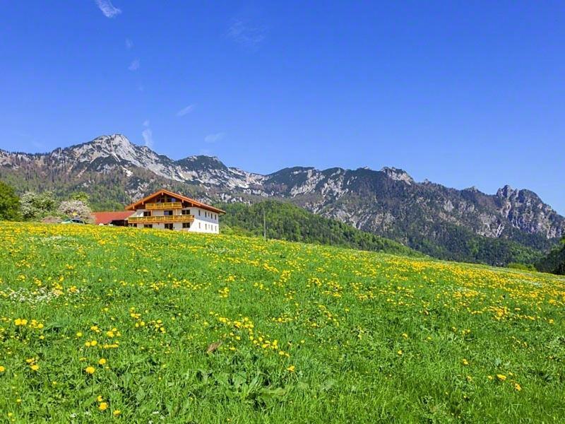 Ferienwohnung Roislerlehen 比绍夫斯维森 外观 照片